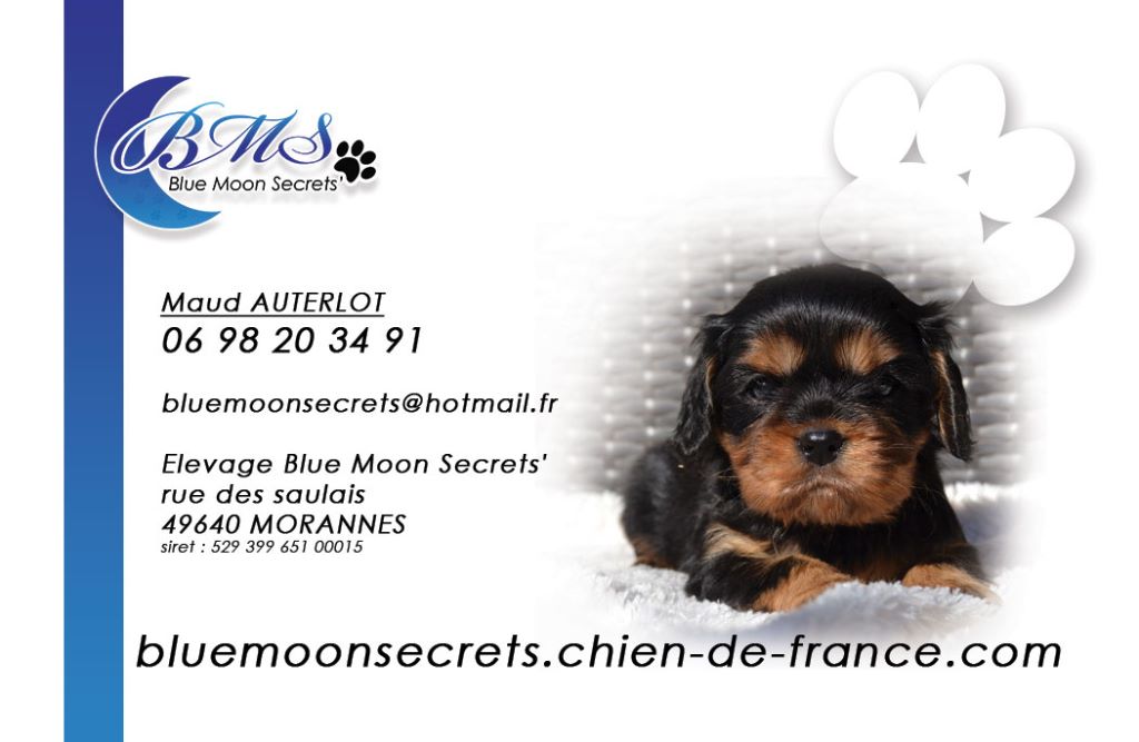 Blue Moon Secrets - Localisation et Horaires